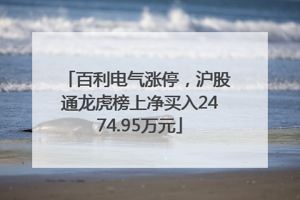 百利电气涨停，沪股通龙虎榜上净买入2474.95万元