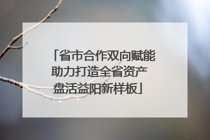 省市合作双向赋能 助力打造全省资产盘活益阳新样板
