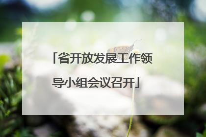 省开放发展工作领导小组会议召开