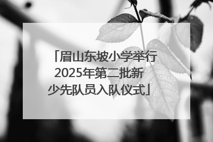 眉山东坡小学举行2025年第二批新少先队员入队仪式