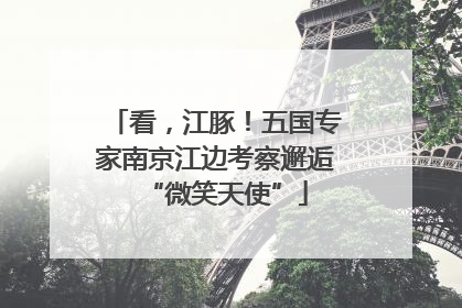看，江豚！五国专家南京江边考察邂逅“微笑天使”