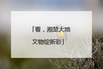 看，湘楚大地文物绽新彩