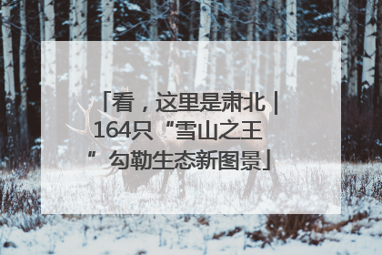 看，这里是肃北｜164只“雪山之王”勾勒生态新图景