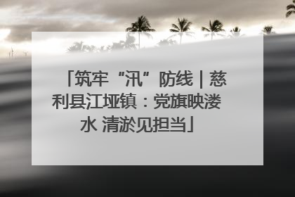 筑牢“汛”防线｜慈利县江垭镇：党旗映溇水 清淤见担当