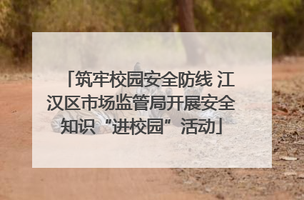 筑牢校园安全防线 江汉区市场监管局开展安全知识“进校园”活动