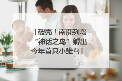 破壳！南麂列岛“神话之鸟”孵出今年首只小雏鸟