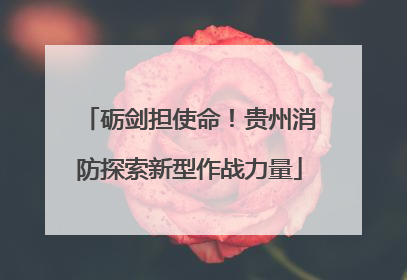 砺剑担使命！贵州消防探索新型作战力量