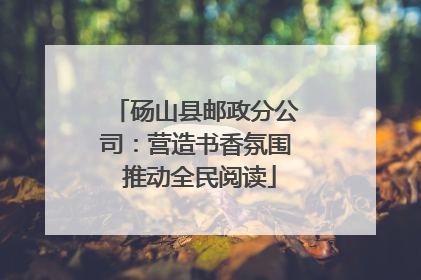 砀山县邮政分公司：营造书香氛围 推动全民阅读