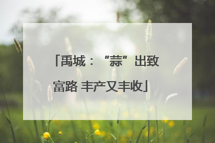 禹城：“蒜”出致富路 丰产又丰收