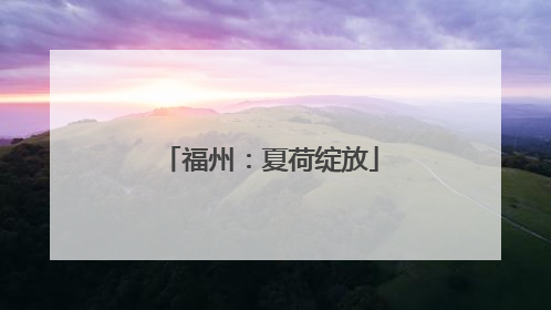 福州：夏荷绽放