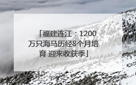 福建连江：1200万只海马历经8个月培育 迎来收获季