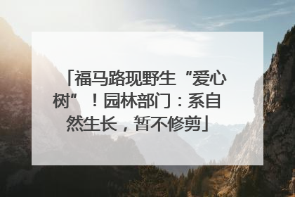 福马路现野生“爱心树”！园林部门：系自然生长，暂不修剪