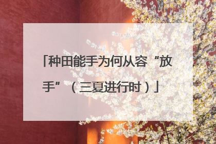种田能手为何从容“放手”（三夏进行时）