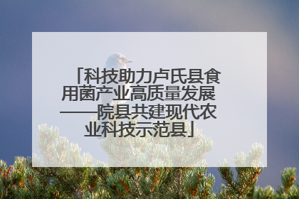 科技助力卢氏县食用菌产业高质量发展——院县共建现代农业科技示范县