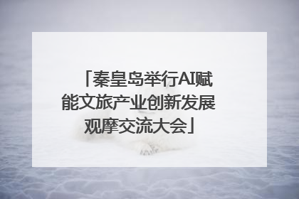 秦皇岛举行AI赋能文旅产业创新发展观摩交流大会
