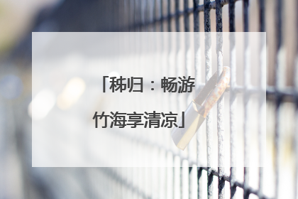 秭归：畅游竹海享清凉