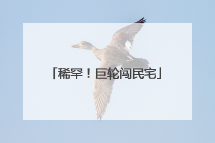 稀罕！巨轮闯民宅