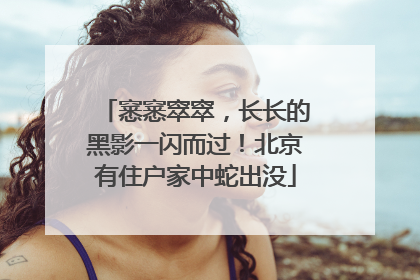 窸窸窣窣，长长的黑影一闪而过！北京有住户家中蛇出没