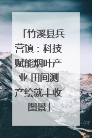 竹溪县兵营镇：科技赋能烟叶产业 田间测产绘就丰收图景