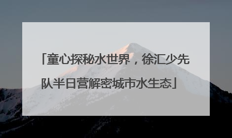 童心探秘水世界，徐汇少先队半日营解密城市水生态