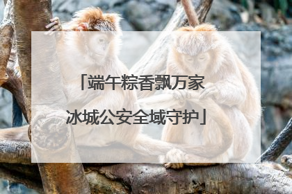端午粽香飘万家 冰城公安全域守护