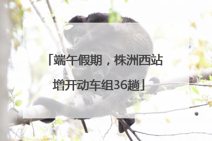 端午假期，株洲西站增开动车组36趟