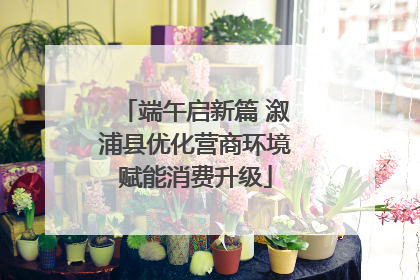 端午启新篇 溆浦县优化营商环境赋能消费升级