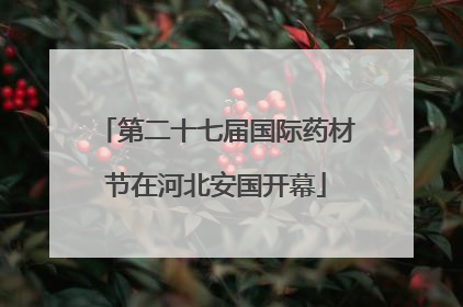 第二十七届国际药材节在河北安国开幕