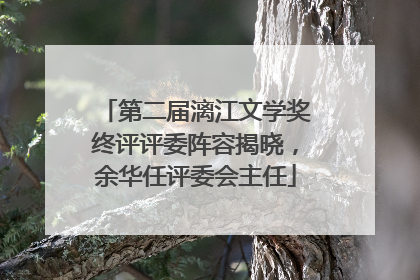 第二届漓江文学奖终评评委阵容揭晓，余华任评委会主任