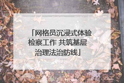 网格员沉浸式体验检察工作 共筑基层治理法治防线