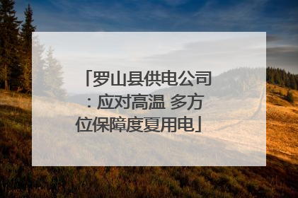 罗山县供电公司：应对高温 多方位保障度夏用电