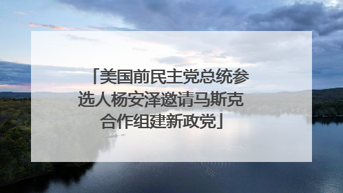 美国前民主党总统参选人杨安泽邀请马斯克合作组建新政党