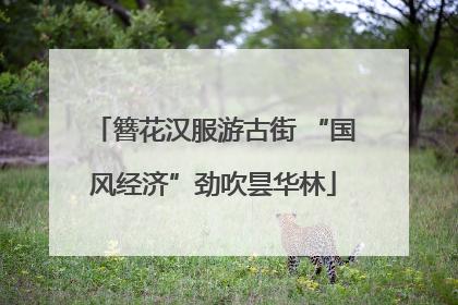 簪花汉服游古街 “国风经济”劲吹昙华林