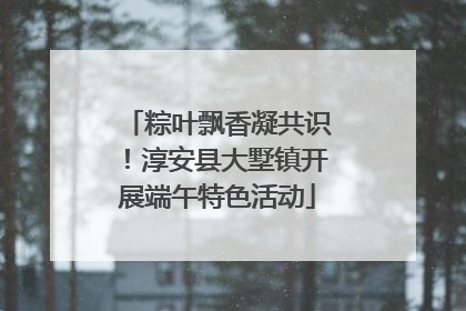 粽叶飘香凝共识！淳安县大墅镇开展端午特色活动
