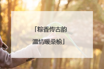 粽香传古韵 温情暖桑榆