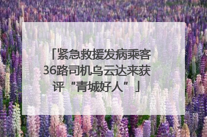 紧急救援发病乘客 36路司机乌云达来获评“青城好人”