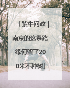 紫牛问政｜南京的这条路缘何留了200米不种树