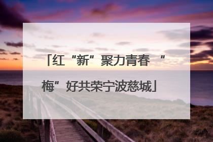 红“新”聚力青春 “梅”好共荣宁波慈城
