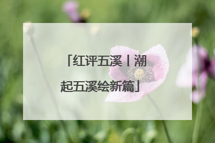 红评五溪丨潮起五溪绘新篇