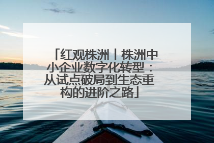 红观株洲丨株洲中小企业数字化转型：从试点破局到生态重构的进阶之路