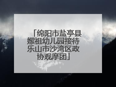 绵阳市盐亭县嫘祖幼儿园接待乐山市沙湾区政协观摩团