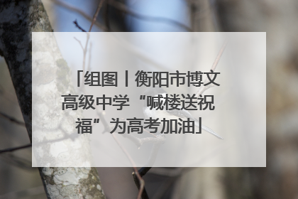 组图丨衡阳市博文高级中学“喊楼送祝福”为高考加油