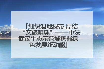 细织湿地绿带 厚结“文旅明珠”——中法武汉生态示范城挖掘绿色发展新动能