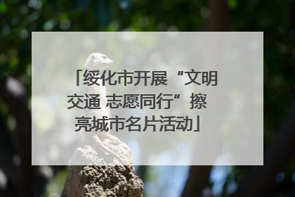 绥化市开展“文明交通 志愿同行”擦亮城市名片活动
