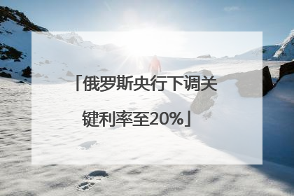 俄罗斯央行下调关键利率至20%