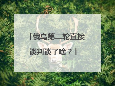 俄乌第二轮直接谈判谈了啥？