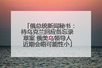 俄总统新闻秘书：待乌克兰回应备忘录草案 俄美乌领导人近期会晤可能性小