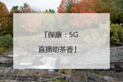 保康：5G直播助茶香