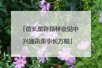 信长星许昆林会见中兴通讯董事长方榕
