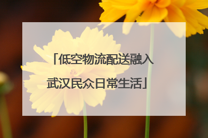 低空物流配送融入武汉民众日常生活